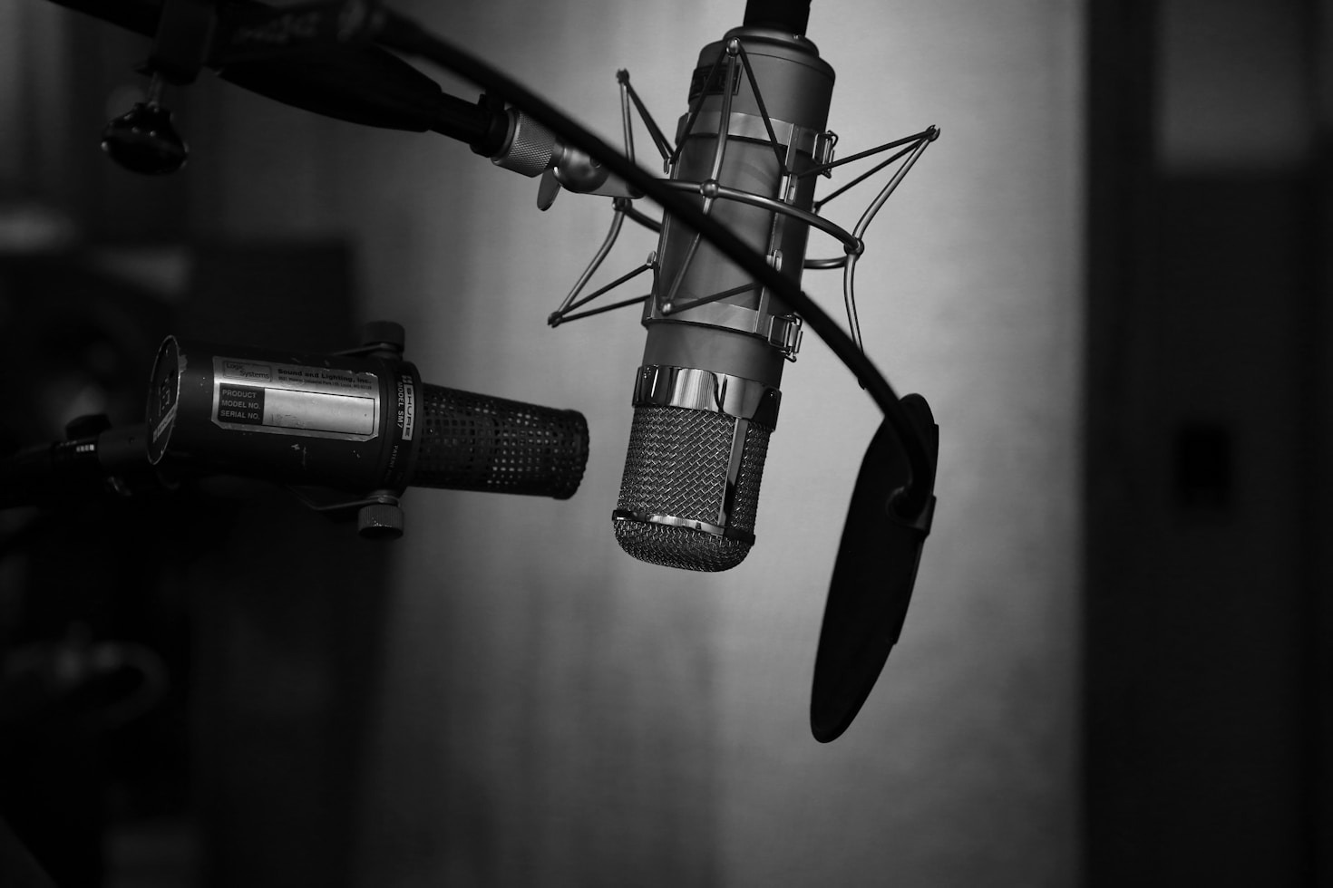 Lo que hace única a Radio Digital Sintrainagro
